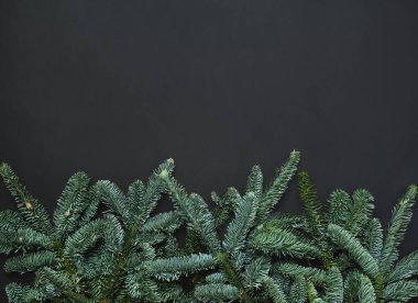 Köknar dalları olan karanlık bir Noel geçmişi var. Bir tebrik kartı için boşluk.