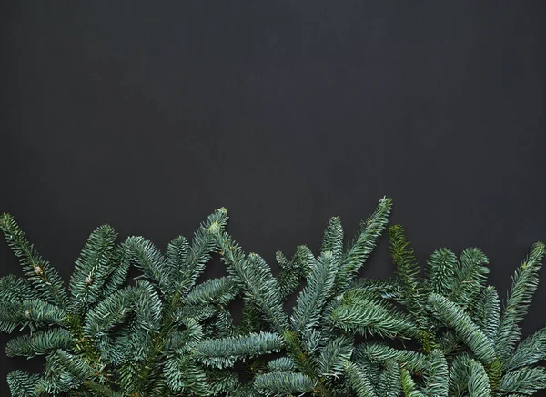 モミの枝で暗いクリスマスの背景 グリーティングカードのブランク — ストック写真