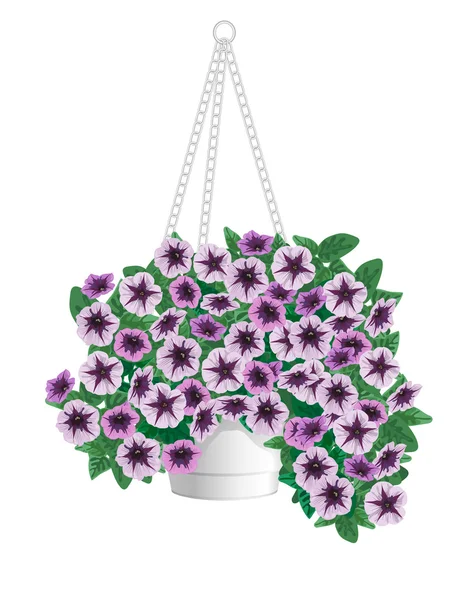 Flores de Petunia — Vector de stock