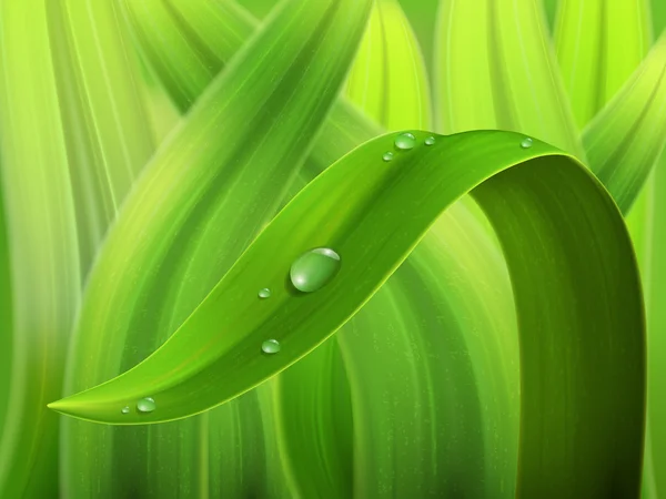 Gota de agua en la hierba macro — Vector de stock