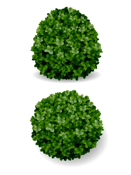 茂みストックベクター ロイヤリティフリー茂みイラスト Depositphotos 茂みストックベクター ロイヤリティフリー茂みイラスト Depositphotos