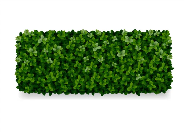 Buxus decoratieve omheining — Stockvector