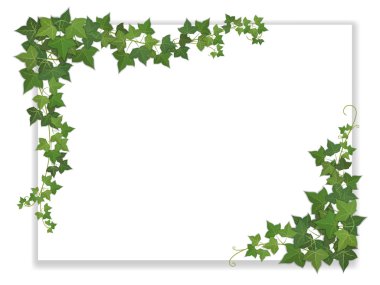 paper sheet decorated ivy clipart