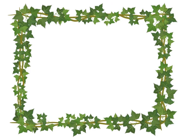 Ivy square frame — Stock Vector