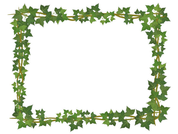 Ivy square frame