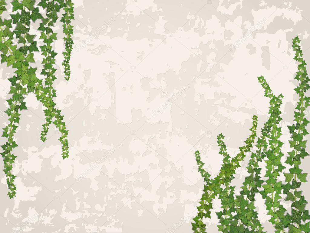 Hanging vines on the background of old stucco wall — Stock Vector