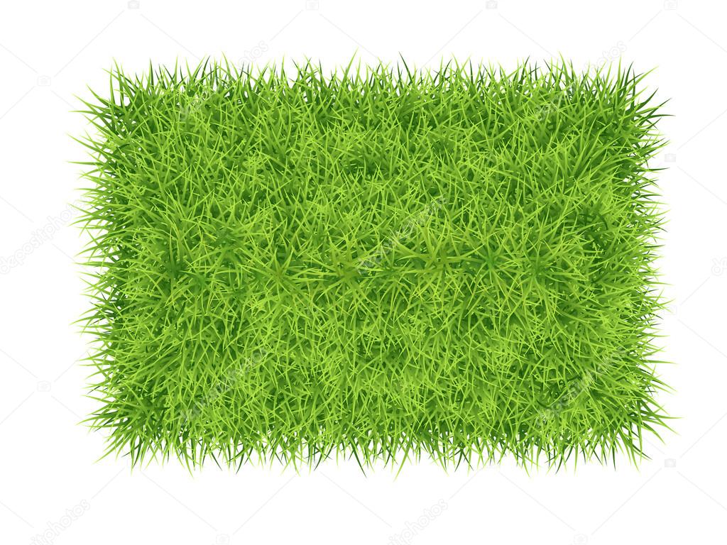 Grass carpet background Stock Vector Image by ©belikovand 69330249