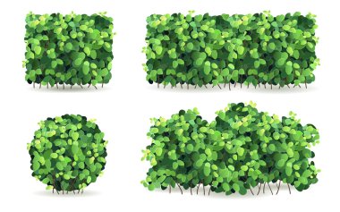 Set of bushes with green leaves of different shapes. clipart