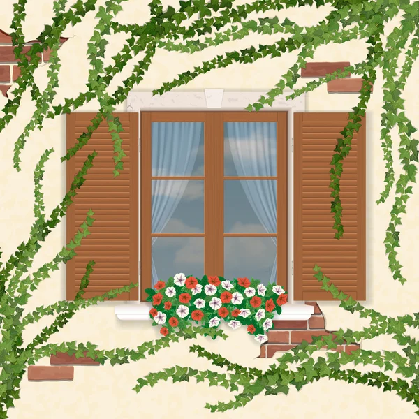 Houten venster met shutters, overwoekerd ivy. — Stockvector