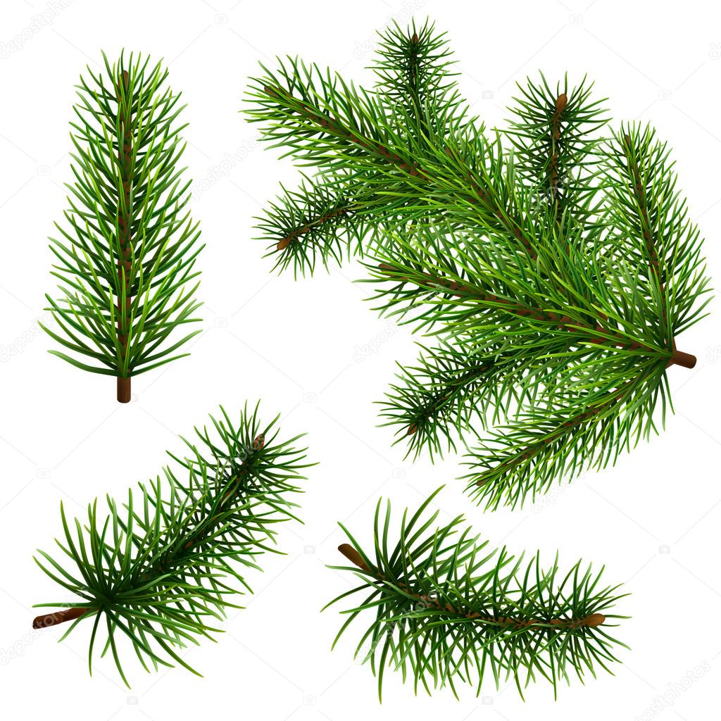 Set realistic fir branches