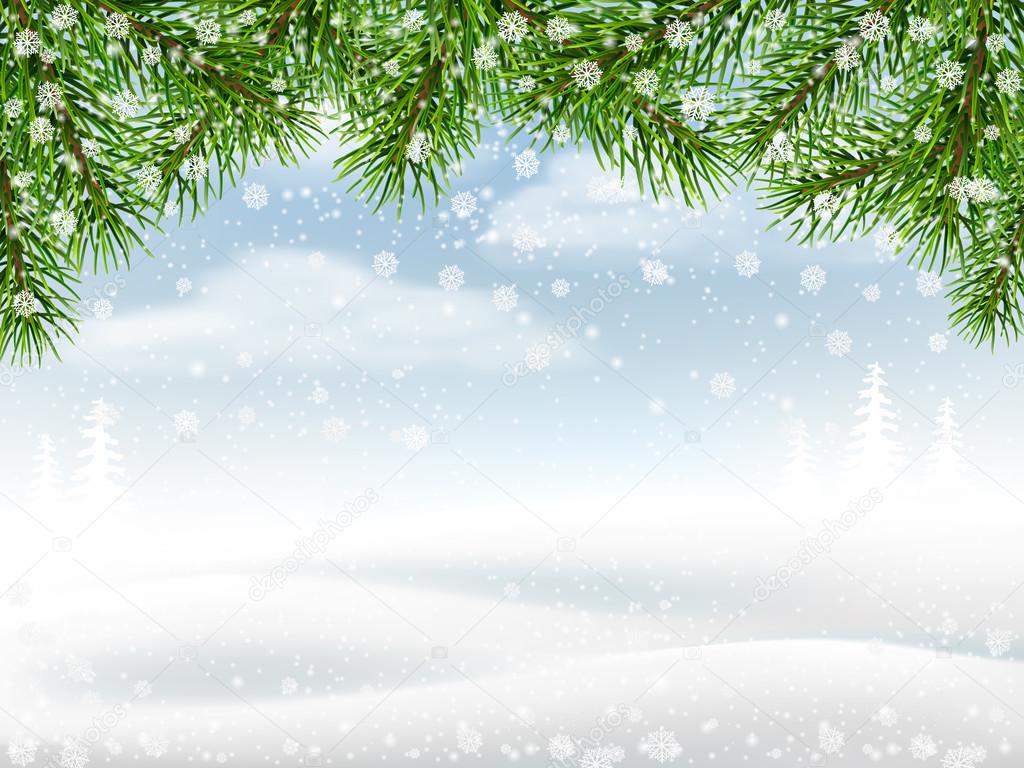 Winter background with pine branches