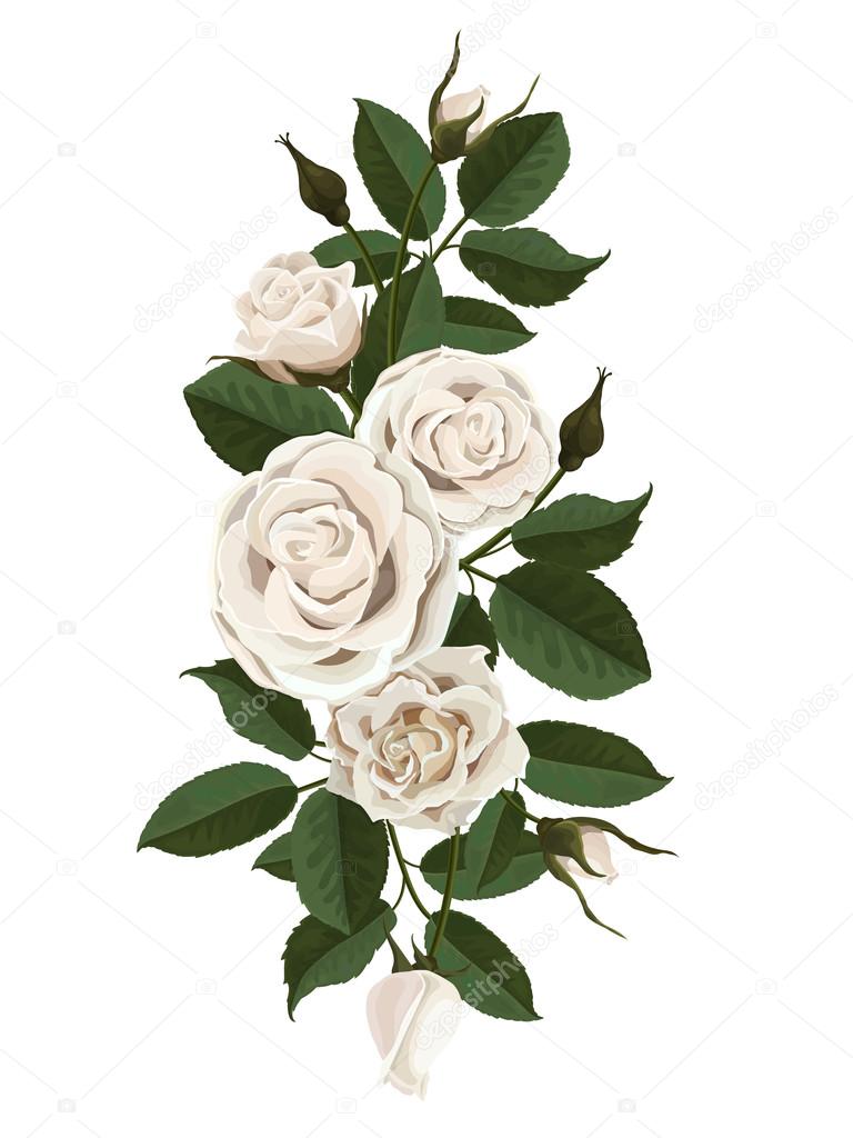 White roses flowers, buds and leaves
