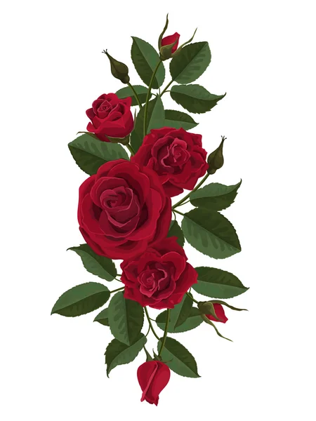 Червоні троянди квіти бутони і листя — стоковий вектор