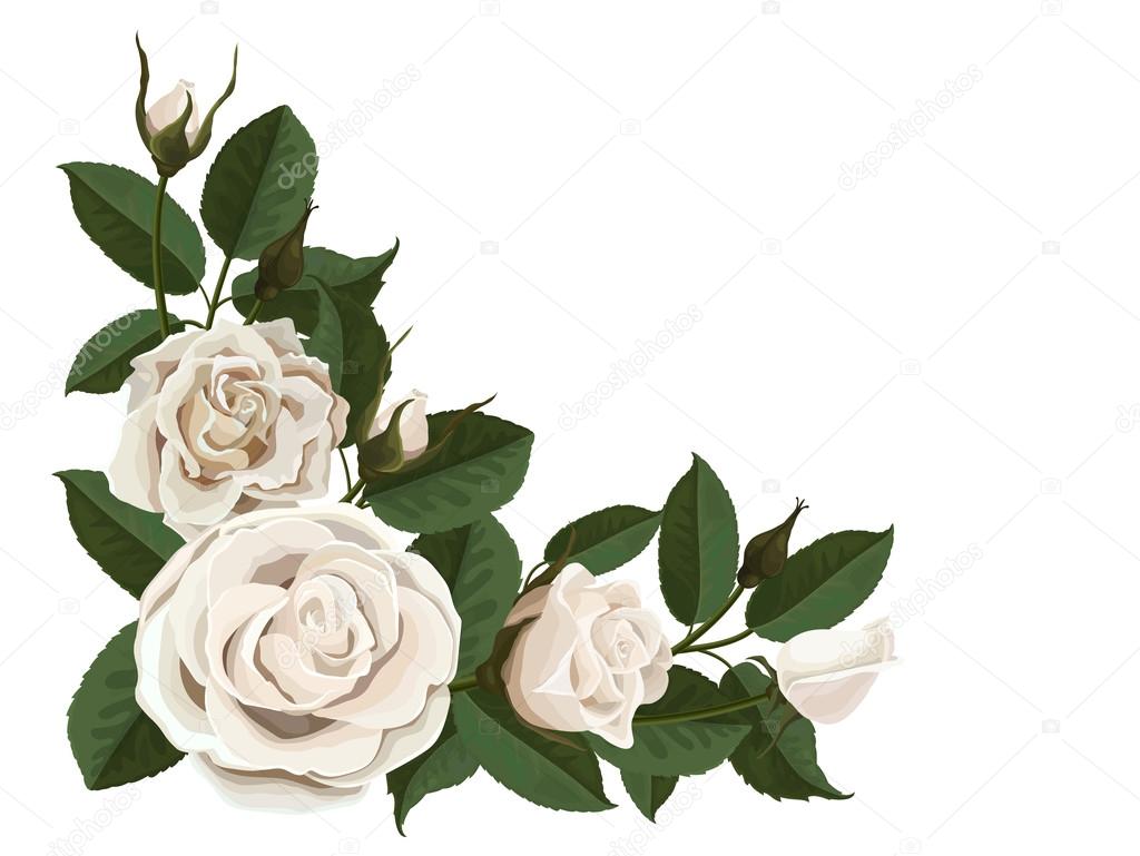 White rose buds and green leaves in the corner