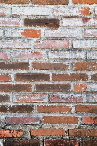 Old brick wall — Stock Photo, Image