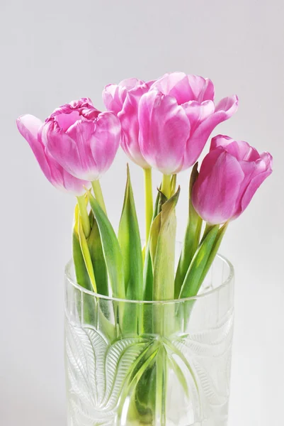 Photo of bunch of tulips in vase on white background — Stock Photo, Image