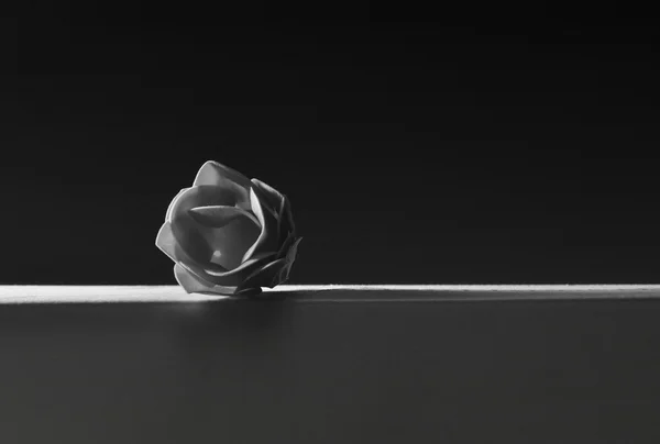 Rose bud in studio background — Stock Photo, Image