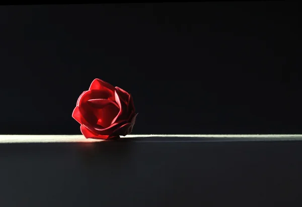 Rose bud in studio background — Stock Photo, Image