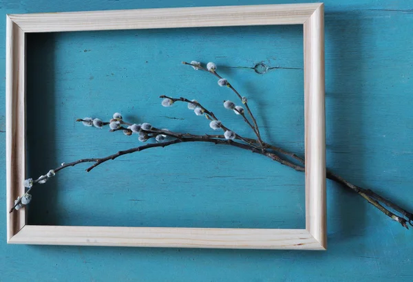 Ιτιά μουνί υποκατάστημα στο ξύλινο πλαίσιο σε μπλε φόντο με ξύλο υφή — Φωτογραφία Αρχείου