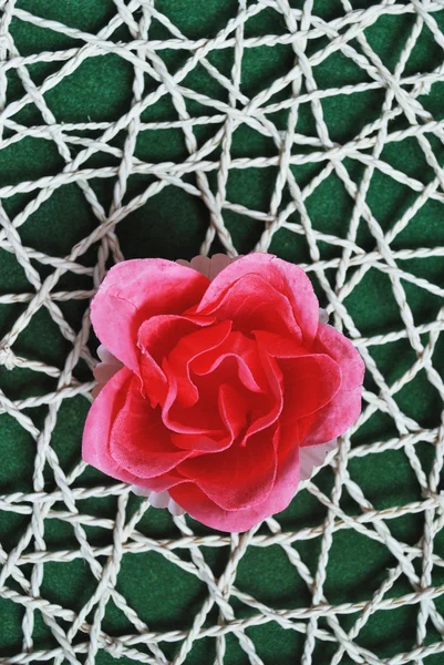 Soap rose flower on green net background — Stock Photo, Image