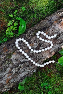 ahşap ve çim zemin üzerine inciler