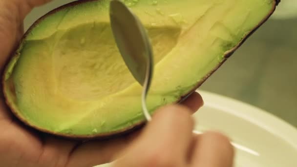 Avocado uithalen met Lepel — Stockvideo