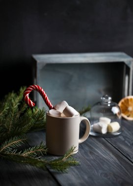 Marşmelov ve karamel çubuklarla süslenmiş, köknar dalları ve ahşap arka planda kurumuş portakal dilimleriyle çevrili hafif bir kupa..