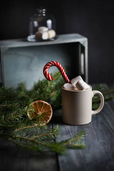 Leichter Kakaobecher Mit Marshmallows Und Karamellstangen Umgeben Von Tannenzweigen Und — Stockfoto