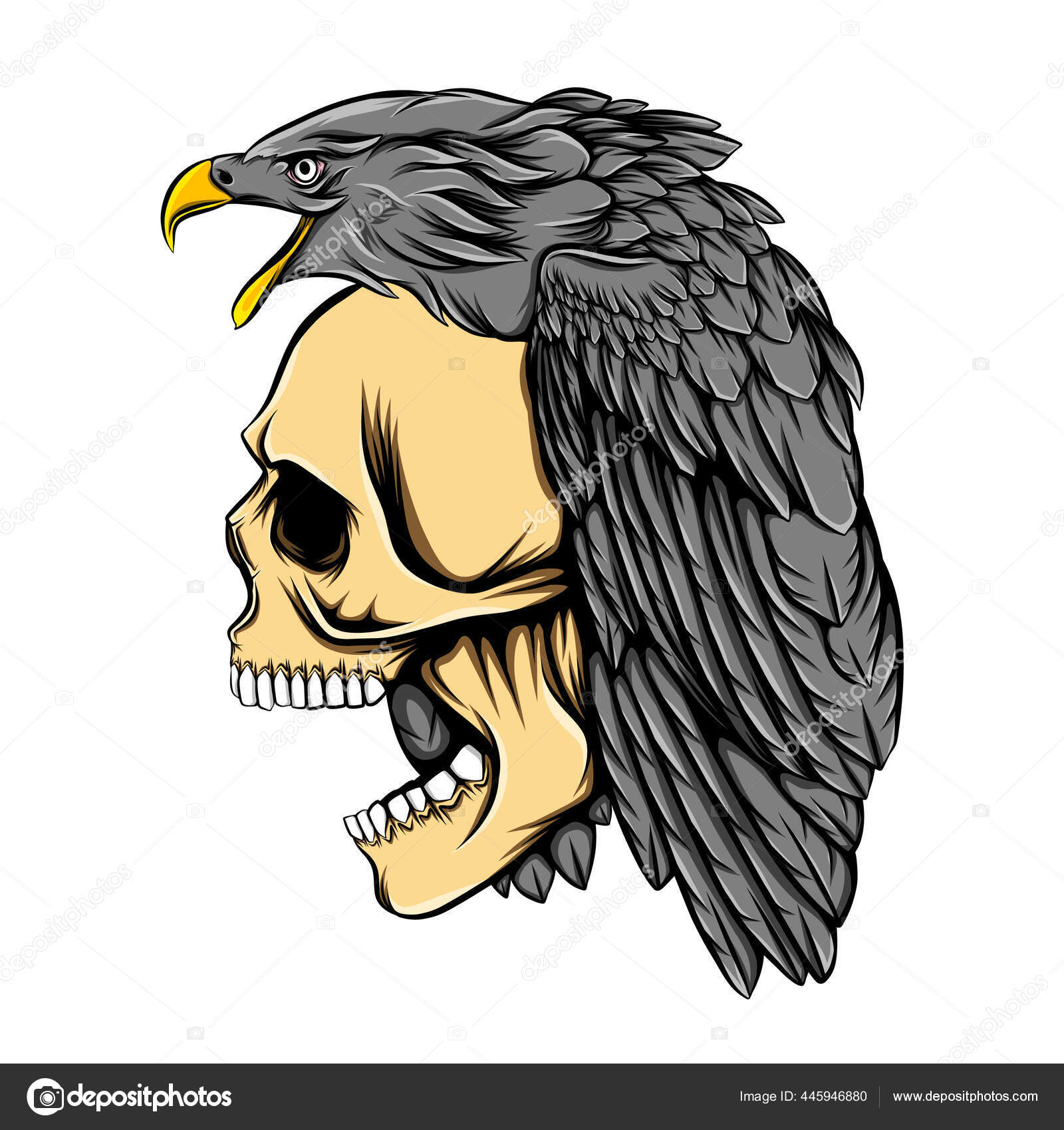Eagle Skull Drawing