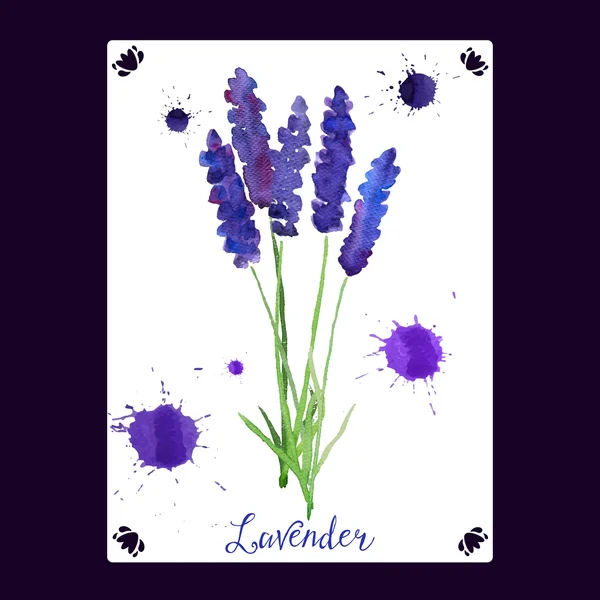 Aquarell Lavendel Bouquet Illustration. — Stockvektor