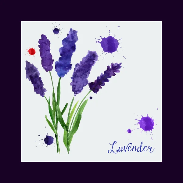 Vector greeting card with watercolor lavender. — Stock Vector