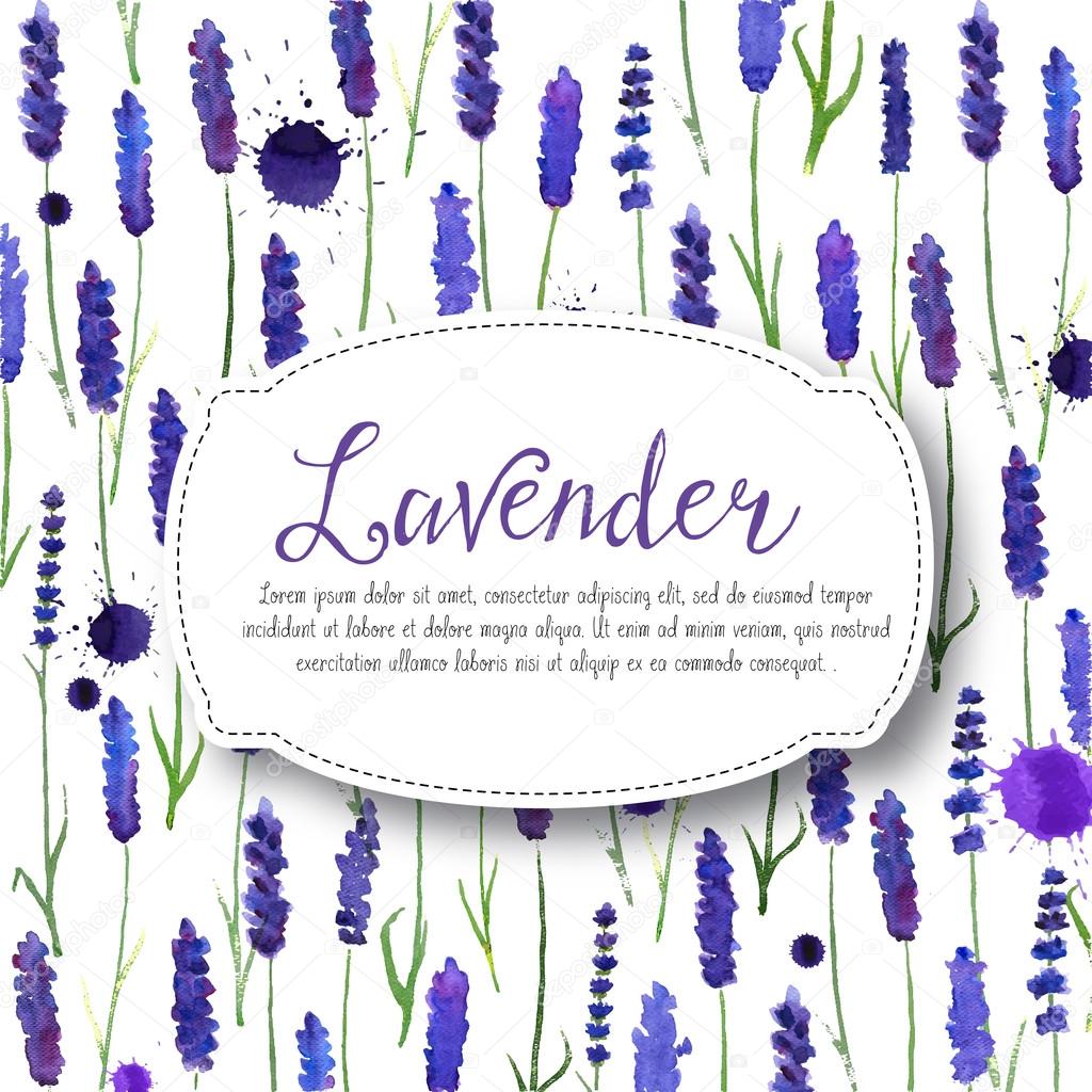 Vector watercolor lavender background