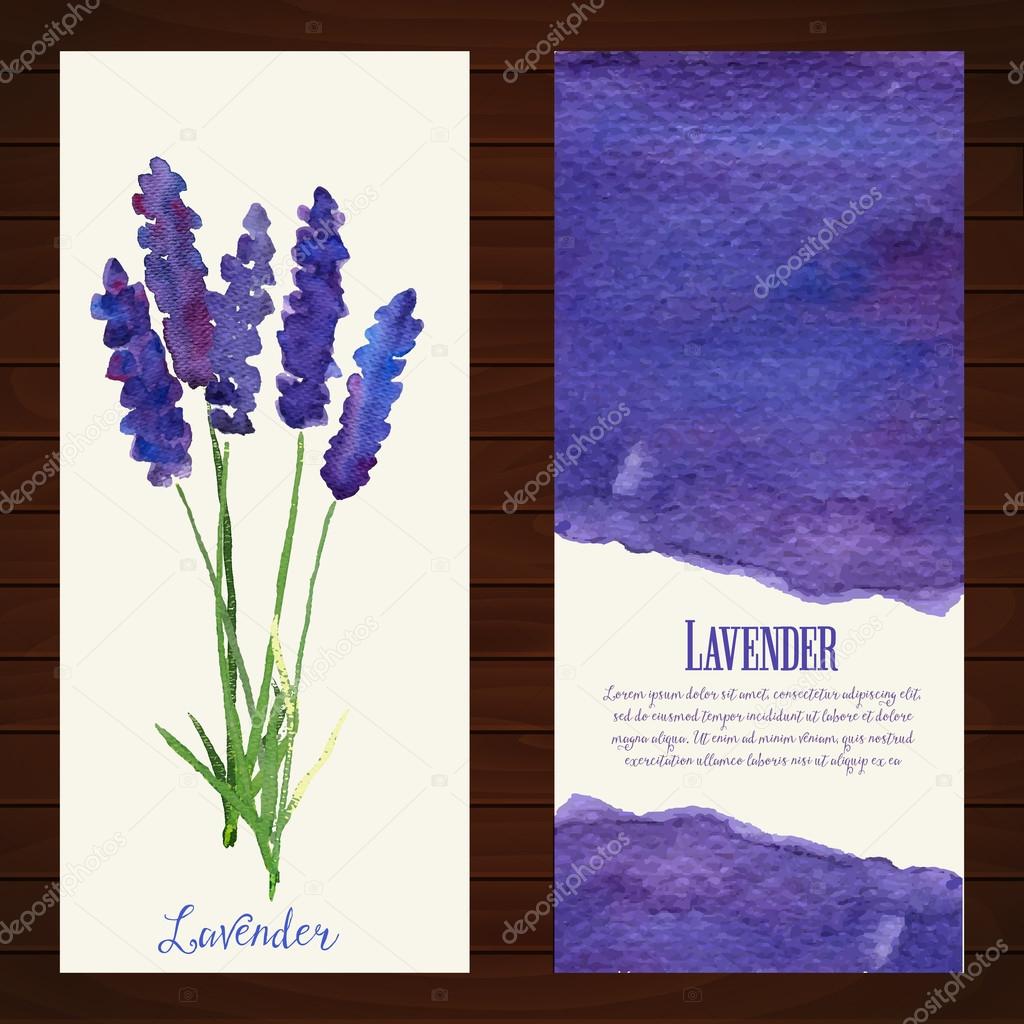 Vector banners with watercolor lavender. 