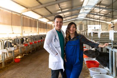 Çiftlik sahibi buzağıyı süt şişesiyle besliyor.