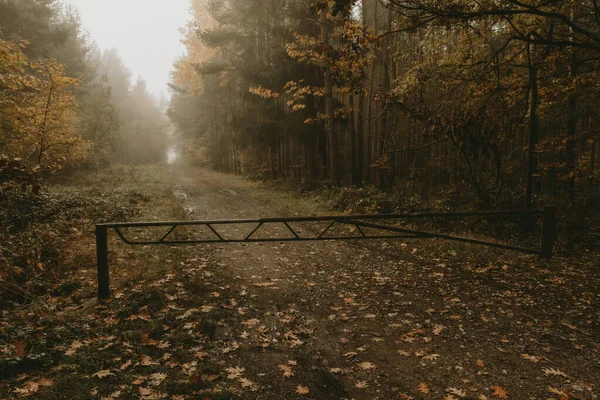 Old Rusty Closed Metal Barrier Forest Path Foggy Autumn Morning — Stock Photo, Image