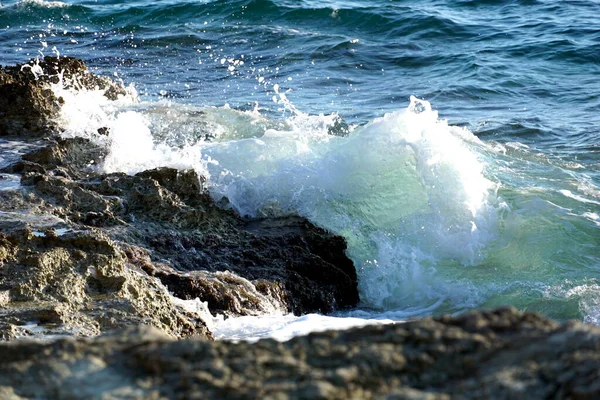 Beyaz deniz dalgaları kayalık sahile vuruyor.