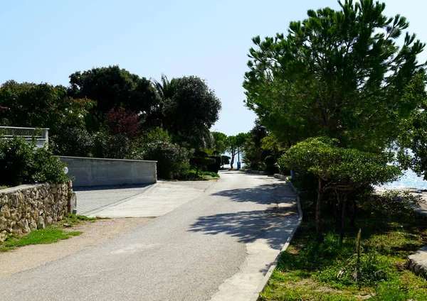 Landelijke Weg Een Kustgebied Met Mediterrane Flora Kroatisch Toeristisch Dorp — Stockfoto