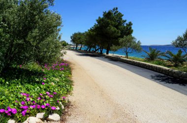 Kırsal alan ve deniz yolu güneşli bir günde çeşitli genel Akdeniz bitki örtüsüyle