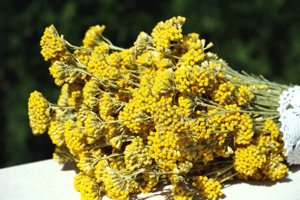 Ramo Flores Amarillas Olorosas Immortelles Colocados Horizontalmente — Foto de Stock