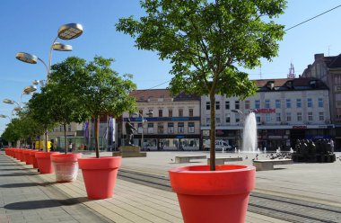 Osijek, Hırvatistan, 4 Ağustos 2021. Hırvatistan 'ın Osijek kentinin ana kent meydanında çömlek içindeki güzel dekoratif bitkiler