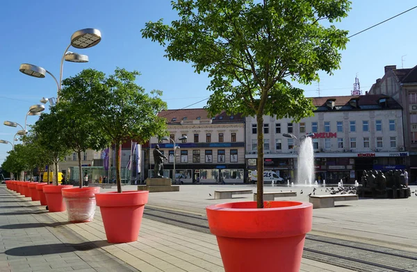 Osijek, Hırvatistan, 4 Ağustos 2021. Hırvatistan 'ın Osijek kentinin ana kent meydanında çömlek içindeki güzel dekoratif bitkiler