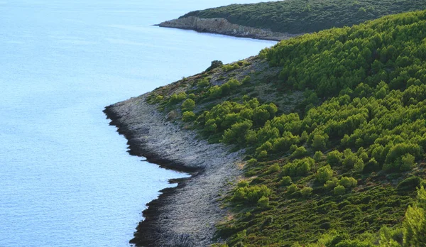 青い海の近くの海岸に緑の地中海の植生がある岩場やアクセスできない海岸への眺め — ストック写真