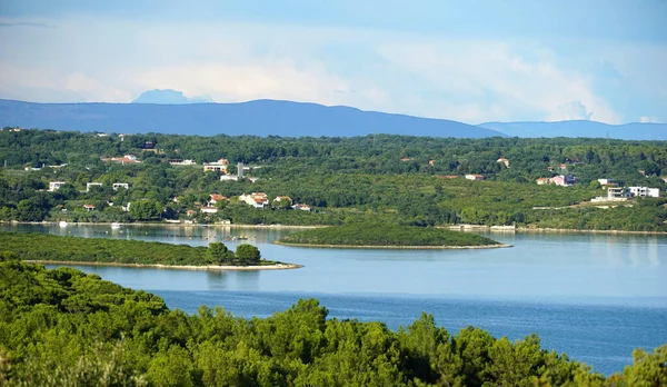 Biodiversidad Hábitat Ecológico Especies Plantas Animales Pomer Península Croata Istria — Foto de Stock