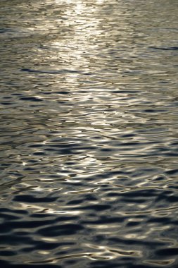 Su yüzeyi, çeşitli dairesel dalgaların ve akışkan şekillerin soyut bileşimi, altın renklerle aydınlatılmıştır.