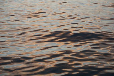 Dikey dairesel desenler yüksek çözünürlüklü soyut bir yüzeyde gümüş ve gül sarısı tonlarda parıldıyor.
