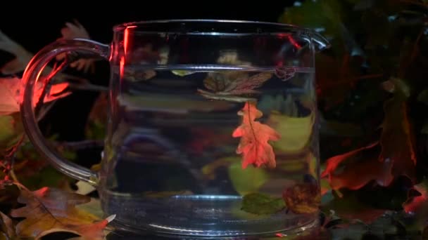 Autumn Leaves Teapot Instead Tea — Stock Video