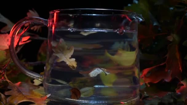 Feuilles Automne Dans Une Théière Lieu Thé — Video