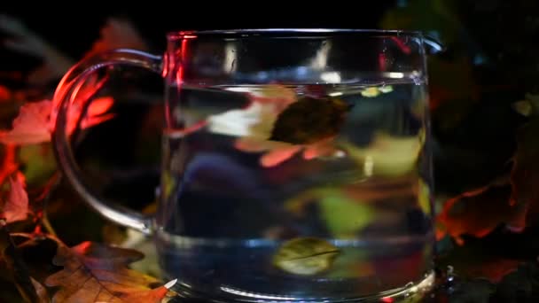 Autumn Leaves Teapot Instead Tea — Stock Video