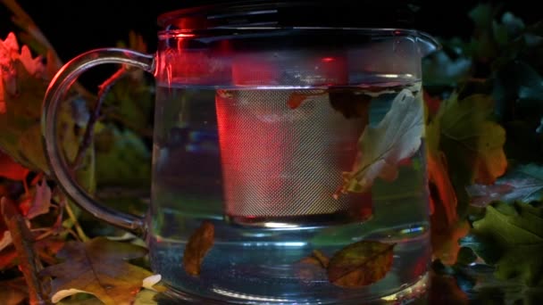 秋天的叶子放在茶壶里而不是茶里 — 图库视频影像