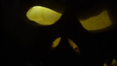 Cadılar Bayramı tatilinde komik balkabağı